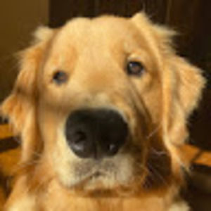 Meet your Posher, Abigail